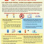 Chủ động phòng chống bệnh Chikungunya – Bộ Y Tế ra thông báo khẩn